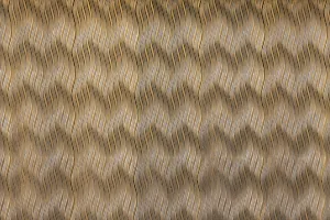 Downtown Waverly, VA, VA