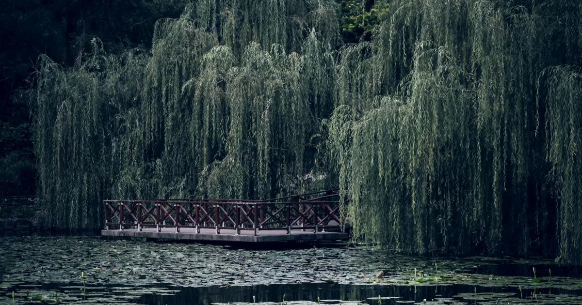 Downtown Weeping Water, NE, NE