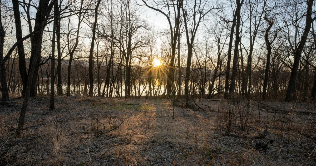Downtown West Branch, IA, IA