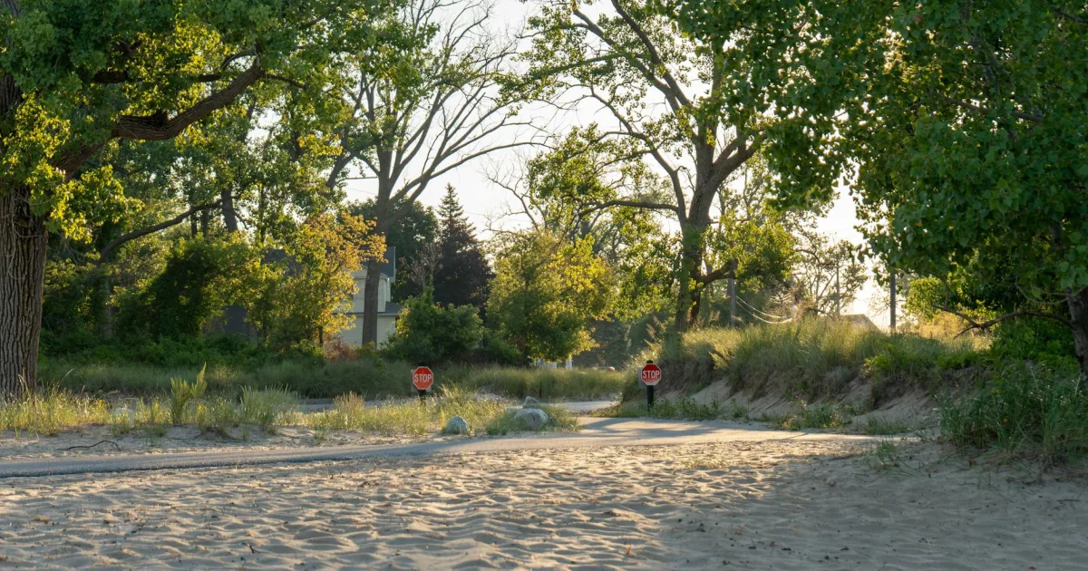 Downtown West Branch, MI, MI