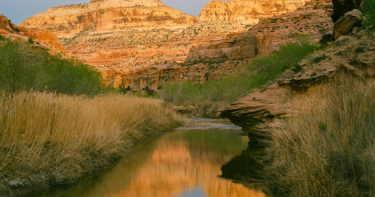 Downtown West Fork, AR, AR