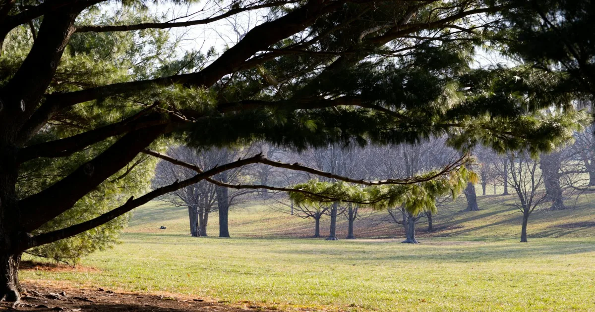 Downtown West Grove, PA, PA