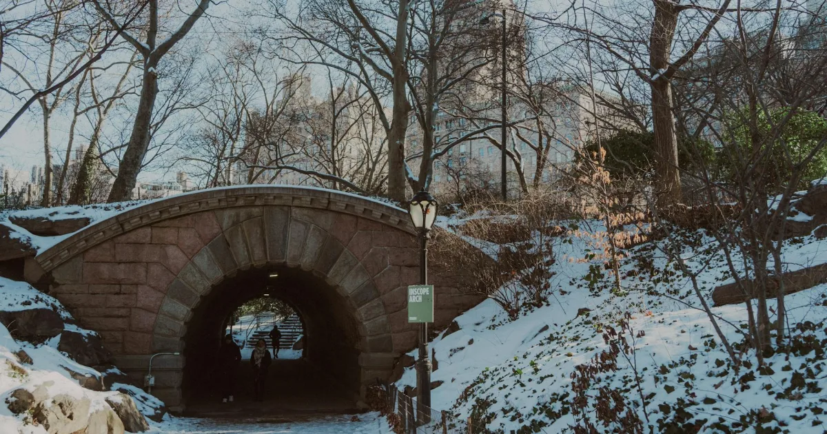 Downtown West Hills, NY, NY