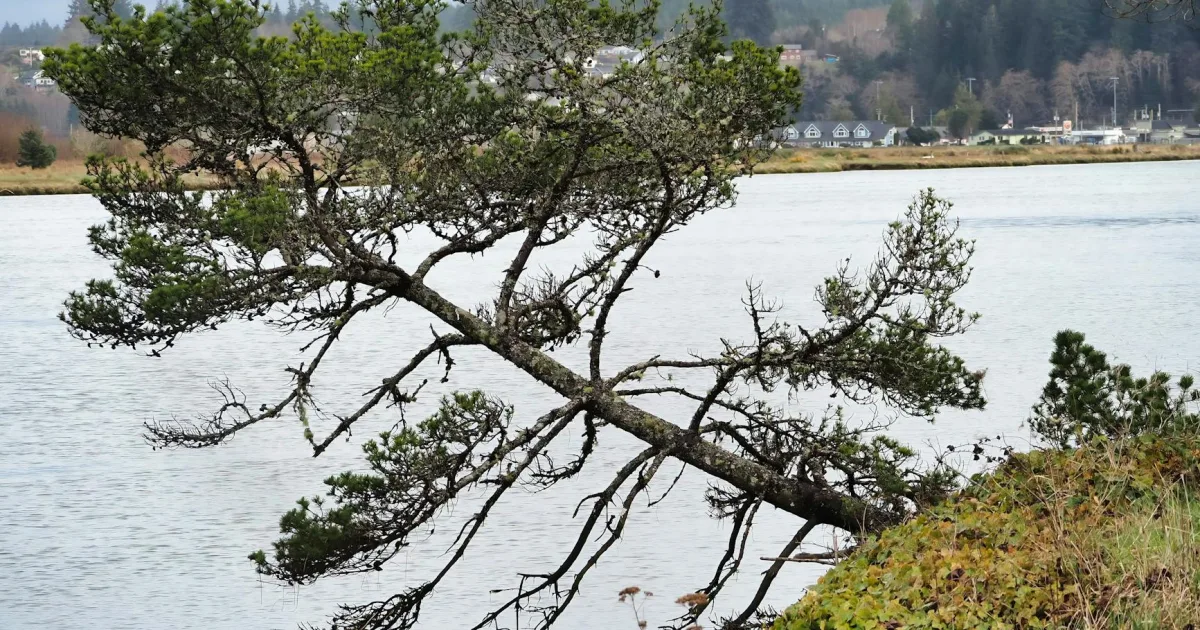 Downtown West Lake Stevens, WA, WA