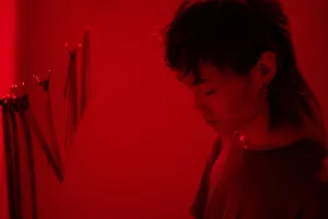 Downtown Westwood, MA, MA