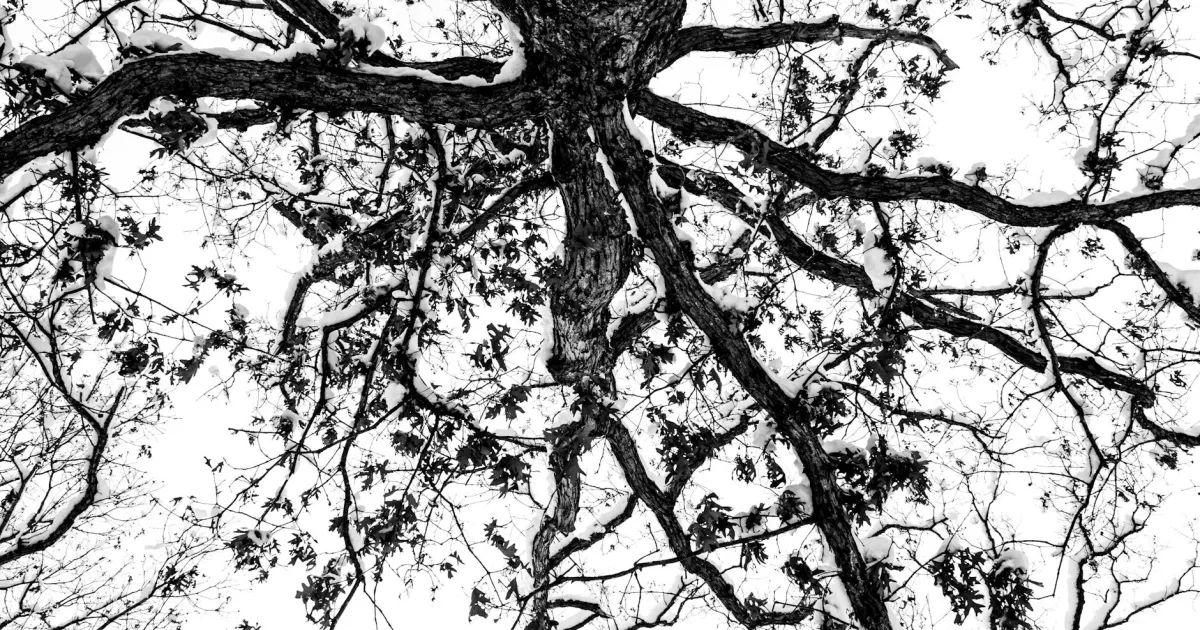 Downtown White Oak, OH, OH