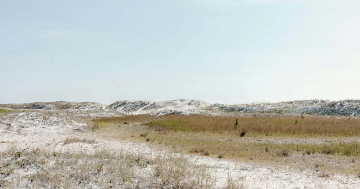 Downtown White Plains, NC, NC