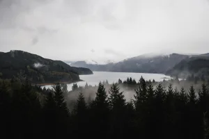 Downtown White Salmon, WA, WA