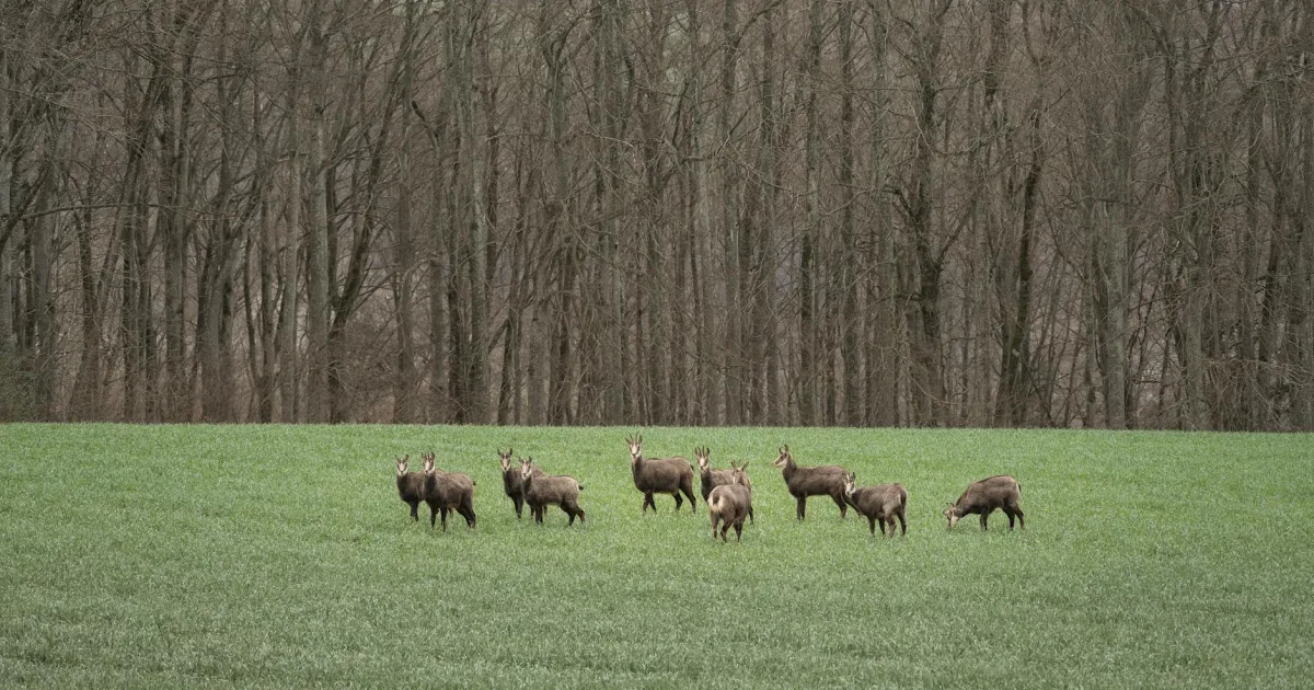 Downtown Wilder, KY, KY