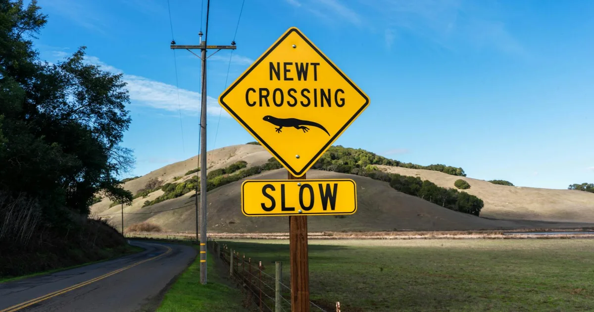 Downtown Wiley Crossing, AR, AR