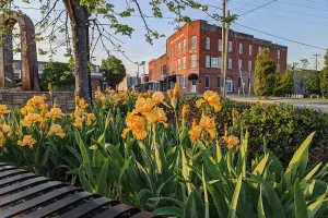 city in North Carolina, United States