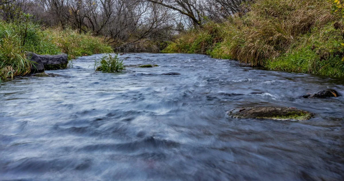 Downtown Willow Creek, GA, GA