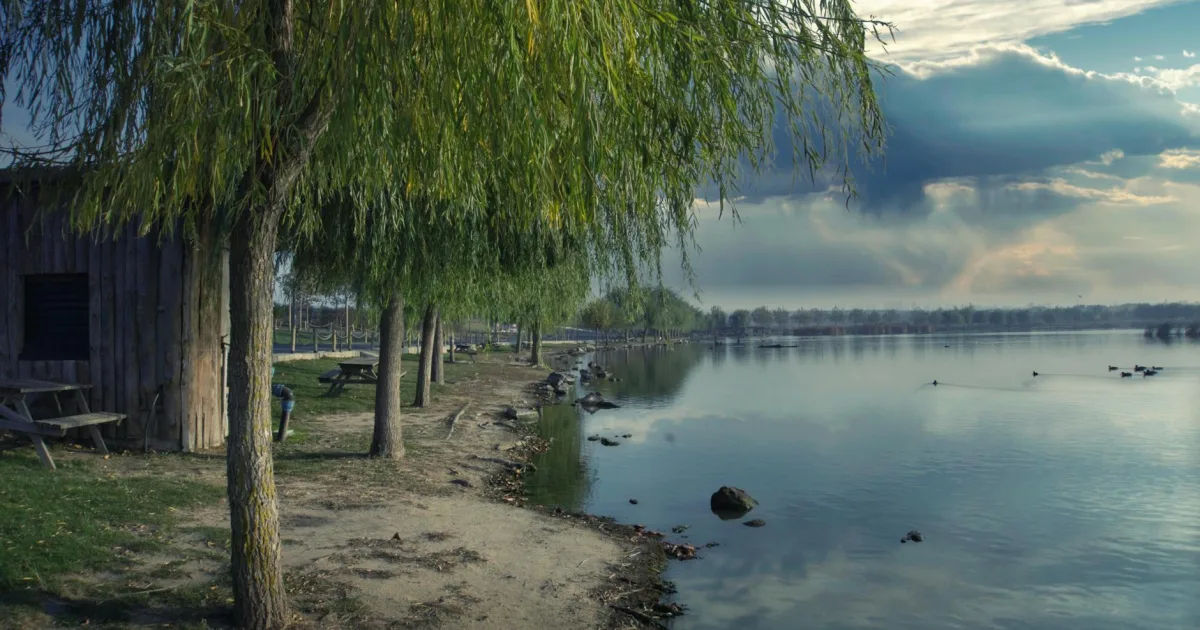 Downtown Willow Valley, AZ, AZ