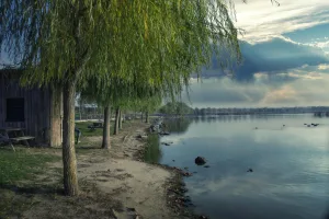 Downtown Willow Valley, AZ, AZ