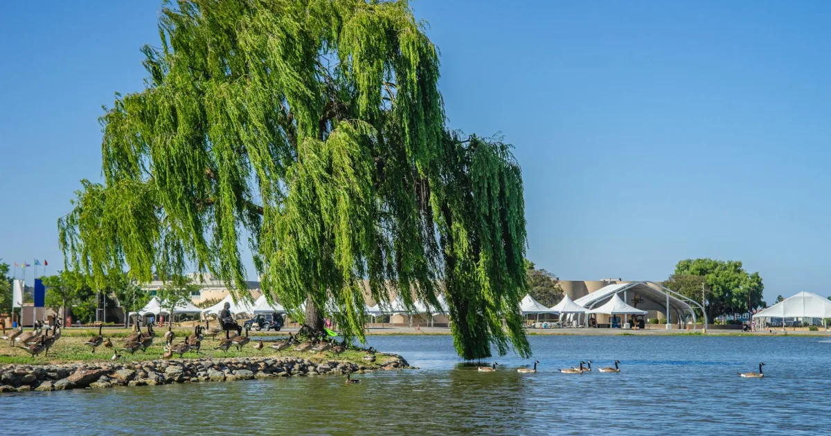 Downtown Willowbrook, CA, CA