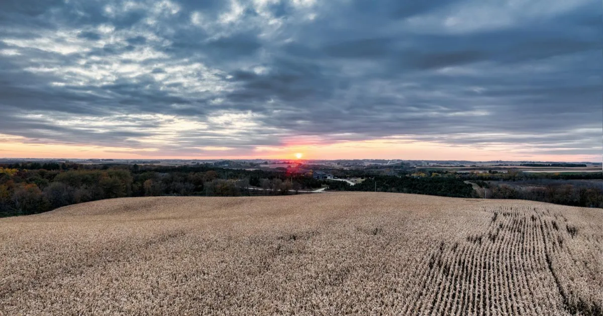 Downtown Windsor Heights, IA, IA