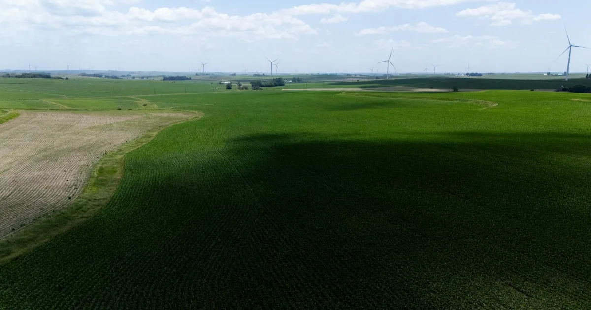 Downtown Winfield, IA, IA