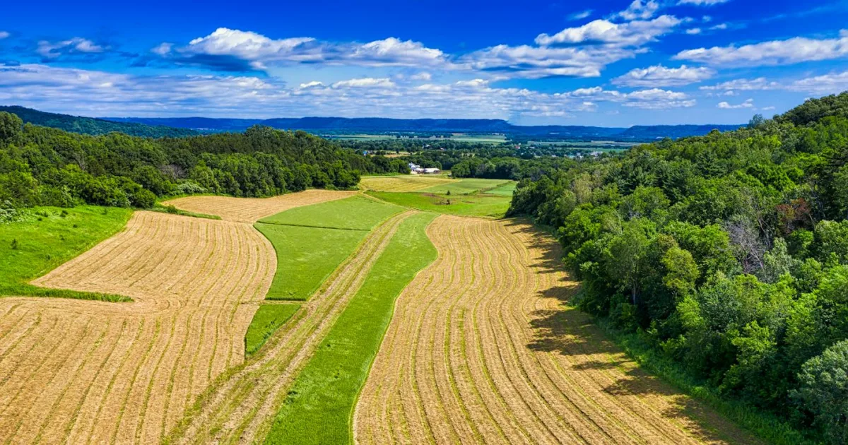 Downtown Winfield, WV, WV