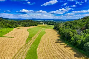 Downtown Winfield, WV, WV