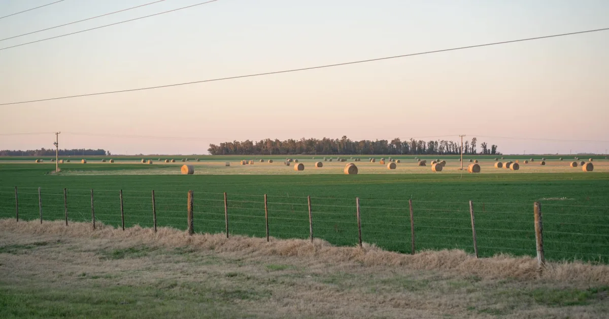 Downtown Winnfield, LA, LA