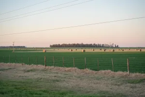 Downtown Winnfield, LA, LA