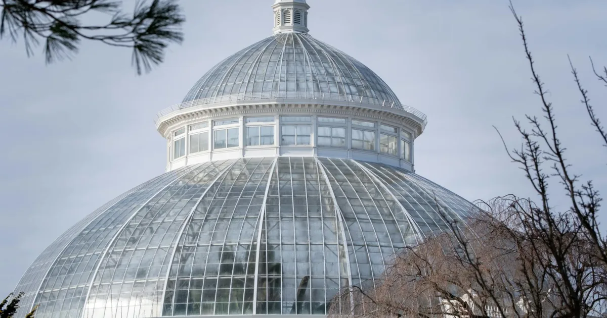 Downtown Winter Gardens, CA, CA