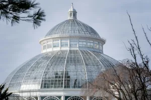 Downtown Winter Gardens, CA, CA