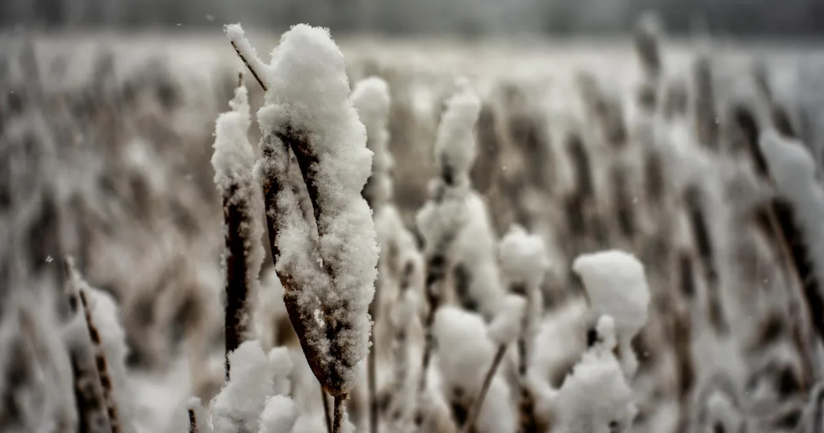 Downtown Winter, MN, MN