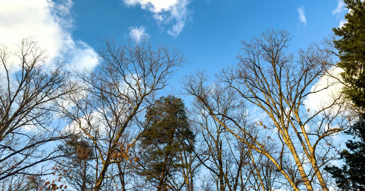 Downtown Wise, VA, VA