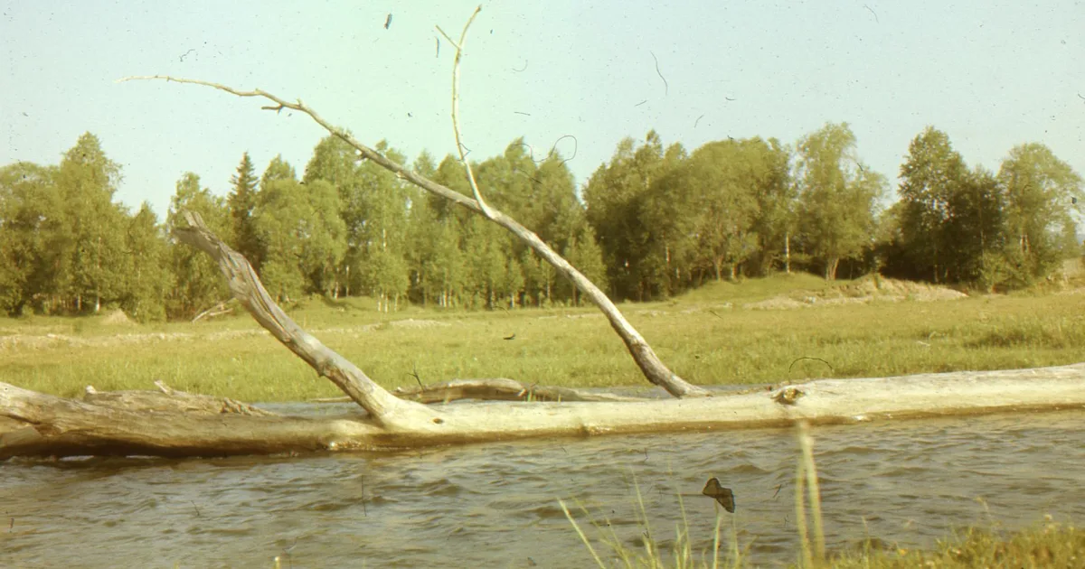 Downtown Wood River, NE, NE