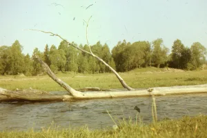 Downtown Wood River, NE, NE