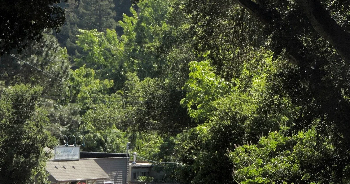 census-designated place in Marin County, California