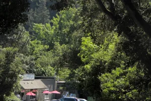 census-designated place in Marin County, California