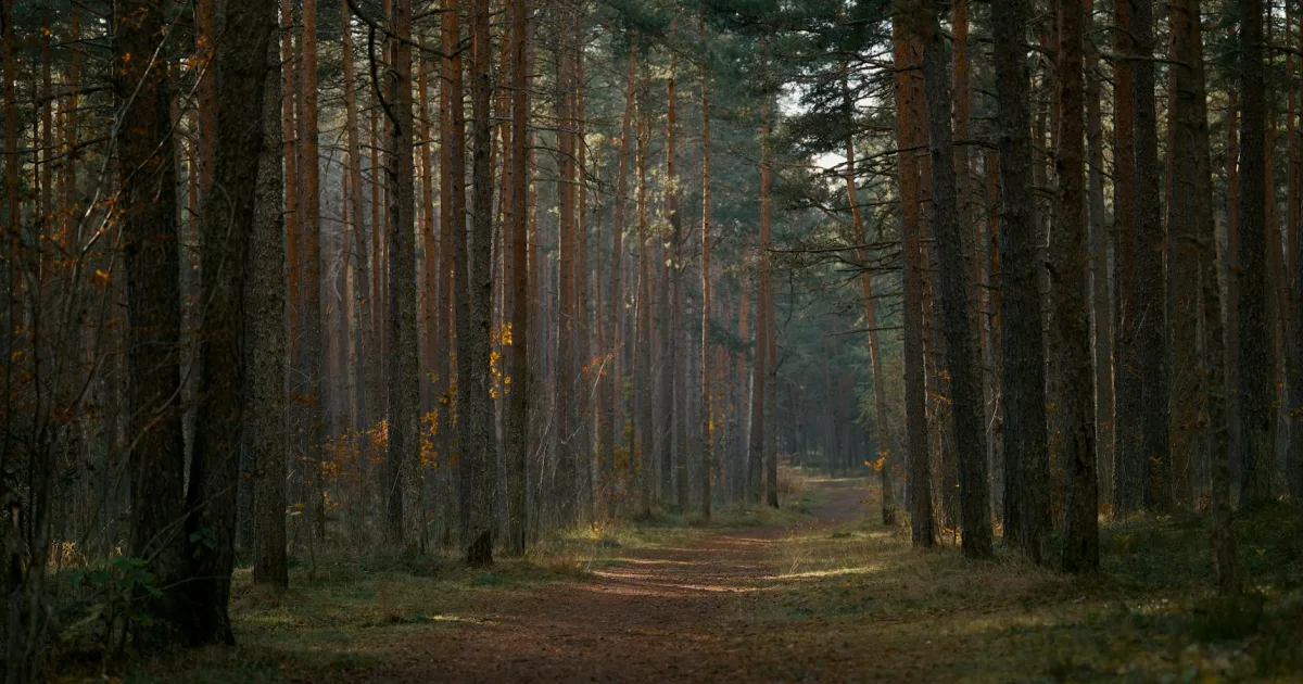 Downtown Woodland, IL, IL