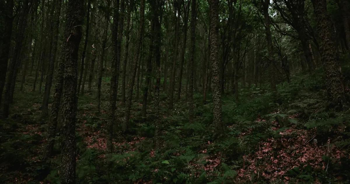 Downtown Woodland, ME, ME