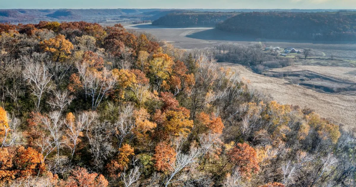 Downtown Woodland, MN, MN