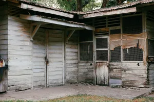 Downtown Woodville, OH, OH