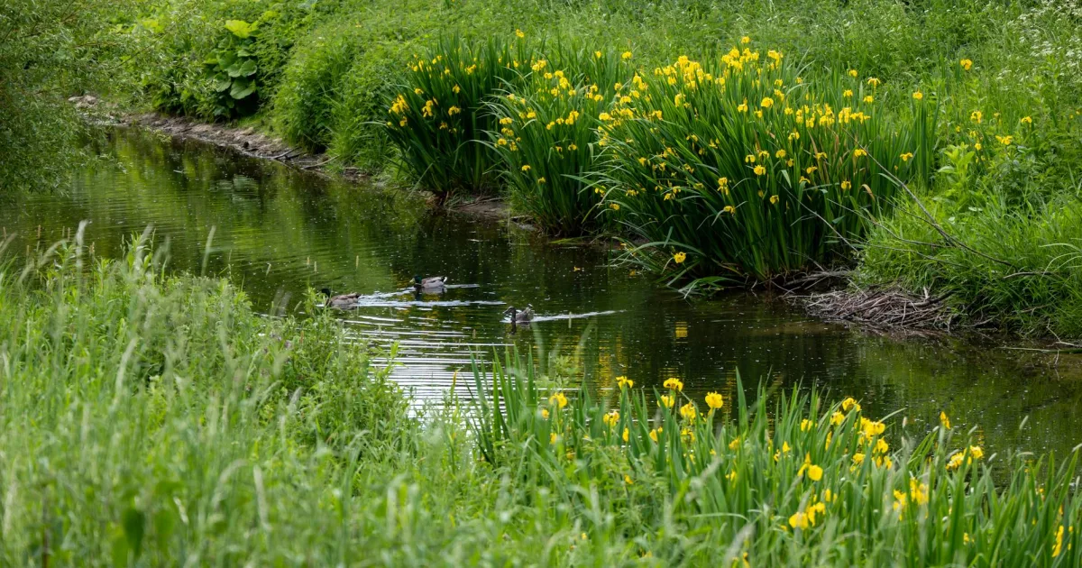 Downtown Yellow Creek, OH, OH