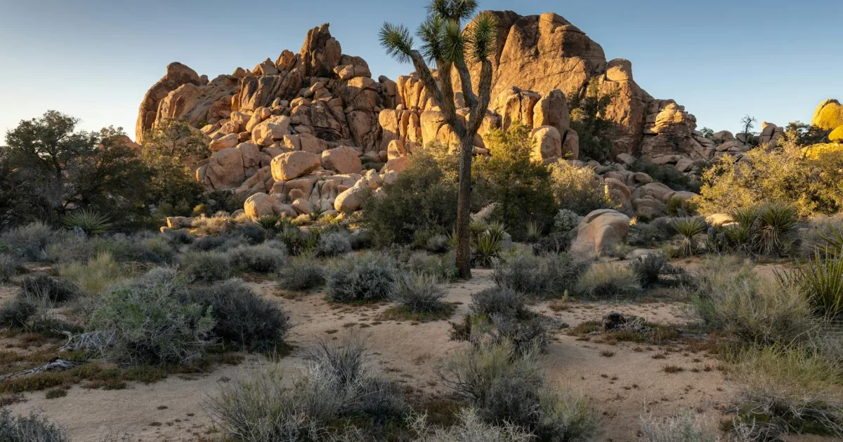 Downtown Yucca Valley, CA, CA