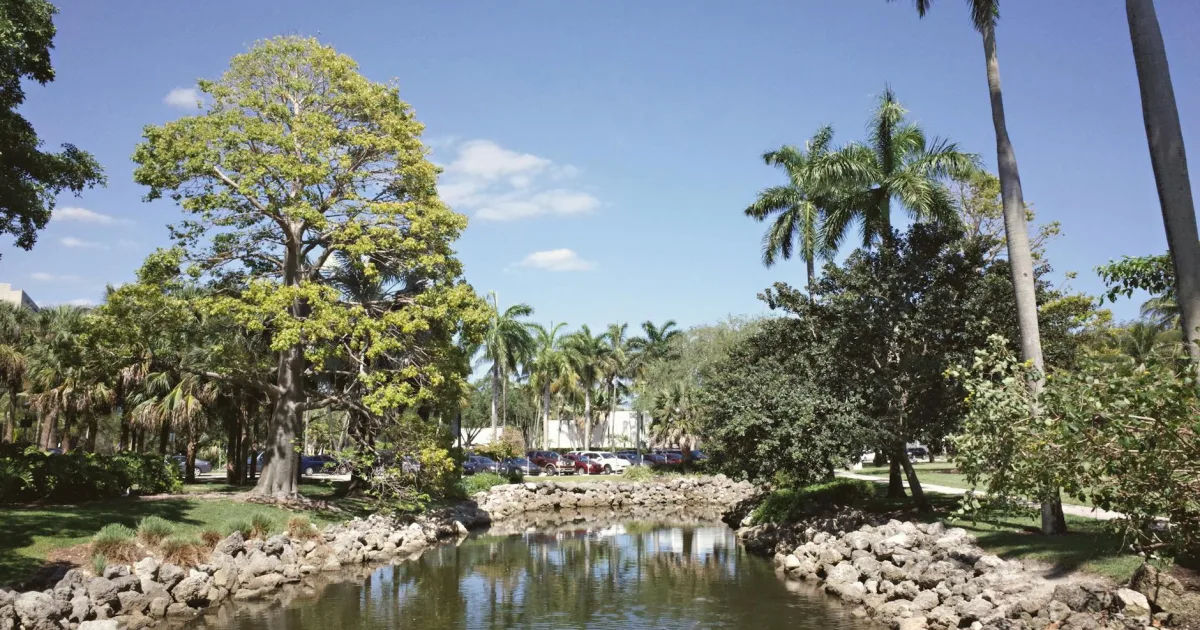 Downtown Zolfo Springs, FL, FL