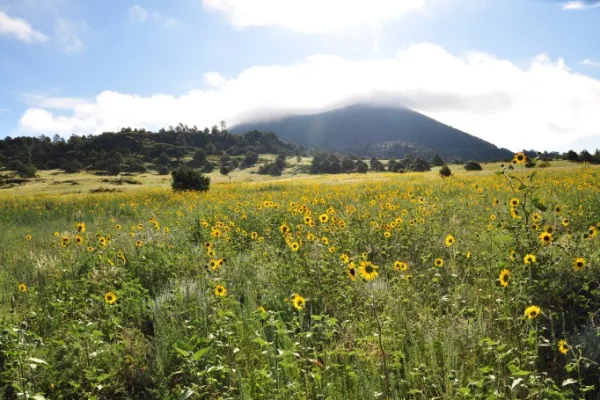 Capulin Volcano National Monument