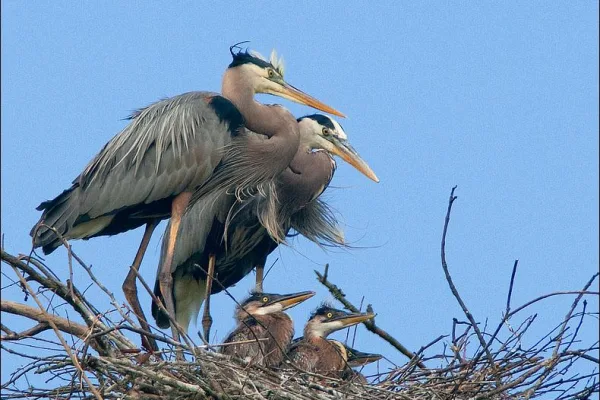 Chattahoochee River National Recreation Area