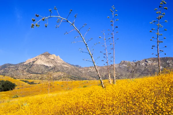 Coronado National Memorial