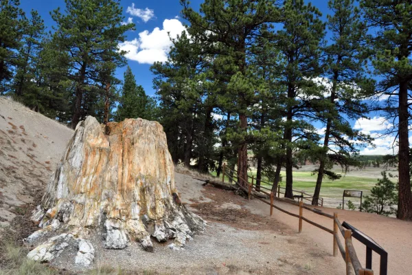 Florissant Fossil Beds National Monument