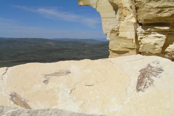 Fossil Butte National Monument
