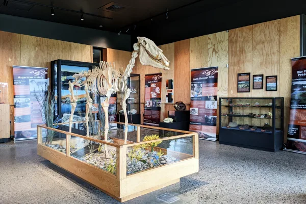 Hagerman Fossil Beds National Monument