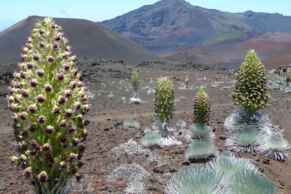 Haleakalā National Park