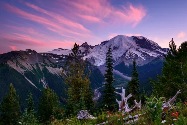 Mount Rainier National Park