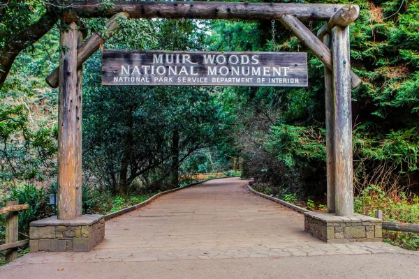 Muir Woods National Monument