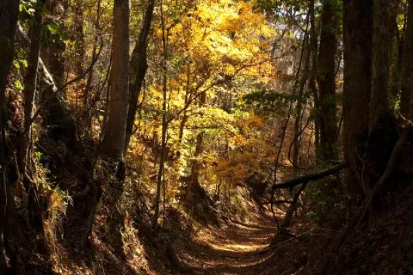 Natchez Trace National Scenic Trail